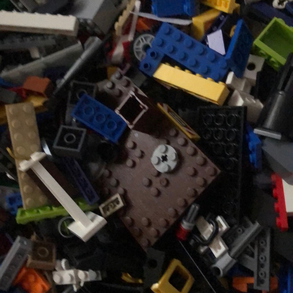 Stephanie Willis only